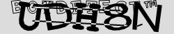BotCaptcha.
