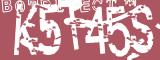 BotCaptcha.