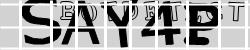 BotCaptcha.