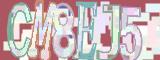 BotCaptcha.