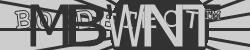 BotCaptcha.