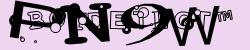BotCaptcha.