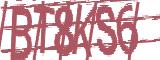 BotCaptcha.