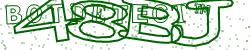 BotCaptcha.