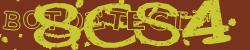 BotCaptcha.