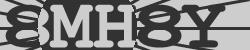 BotCaptcha.