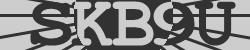 BotCaptcha.