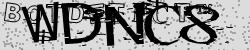 BotCaptcha.