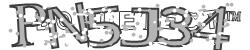 BotCaptcha.
