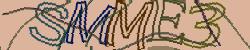 BotCaptcha.