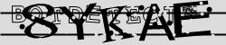 BotCaptcha.