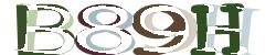 BotCaptcha.