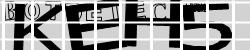 BotCaptcha.