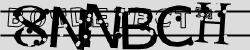 BotCaptcha.