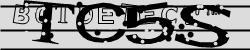 BotCaptcha.