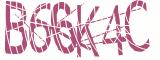 BotCaptcha.