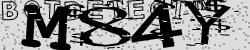BotCaptcha.