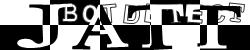 BotCaptcha.