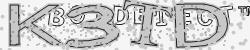 BotCaptcha.