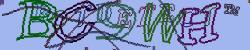 BotCaptcha.