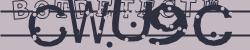BotCaptcha.