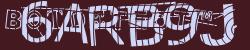 BotCaptcha.