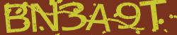 BotCaptcha.