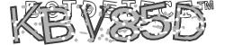 BotCaptcha.