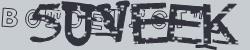 BotCaptcha.