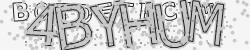BotCaptcha.
