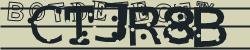 BotCaptcha.