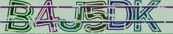 BotCaptcha.