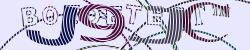 BotCaptcha.