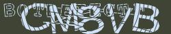 BotCaptcha.