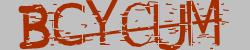 BotCaptcha.