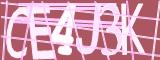 BotCaptcha.