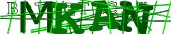 BotCaptcha.