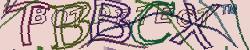 BotCaptcha.