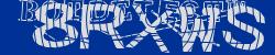 BotCaptcha.