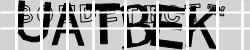 BotCaptcha.