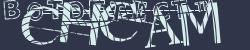 BotCaptcha.