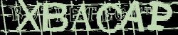 BotCaptcha.