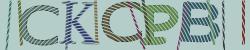 BotCaptcha.