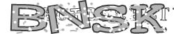 BotCaptcha.